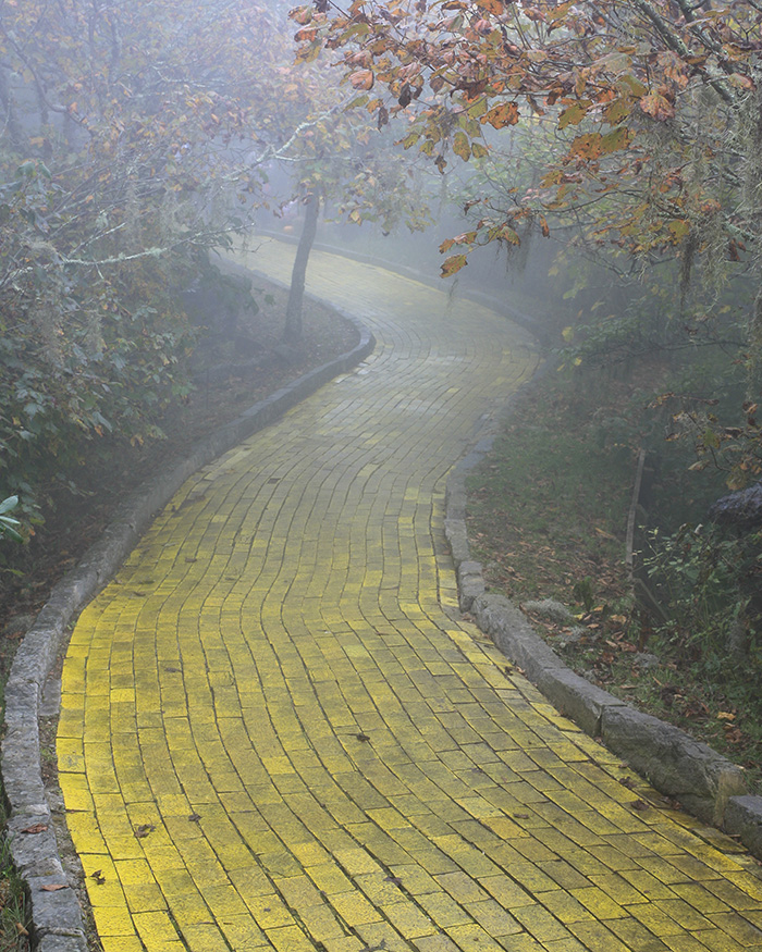 Yellow brick road in a foggy forrest, representing forging one's own path